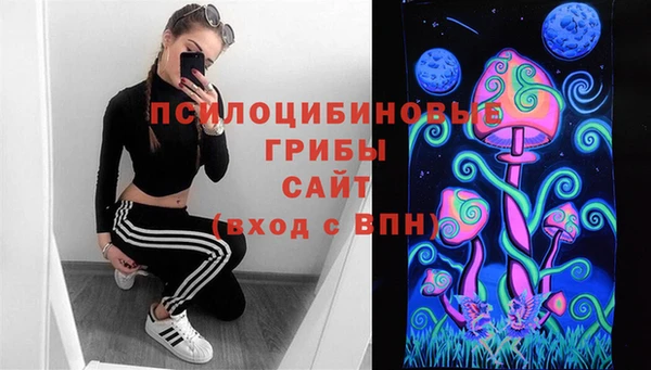 таблы Богданович